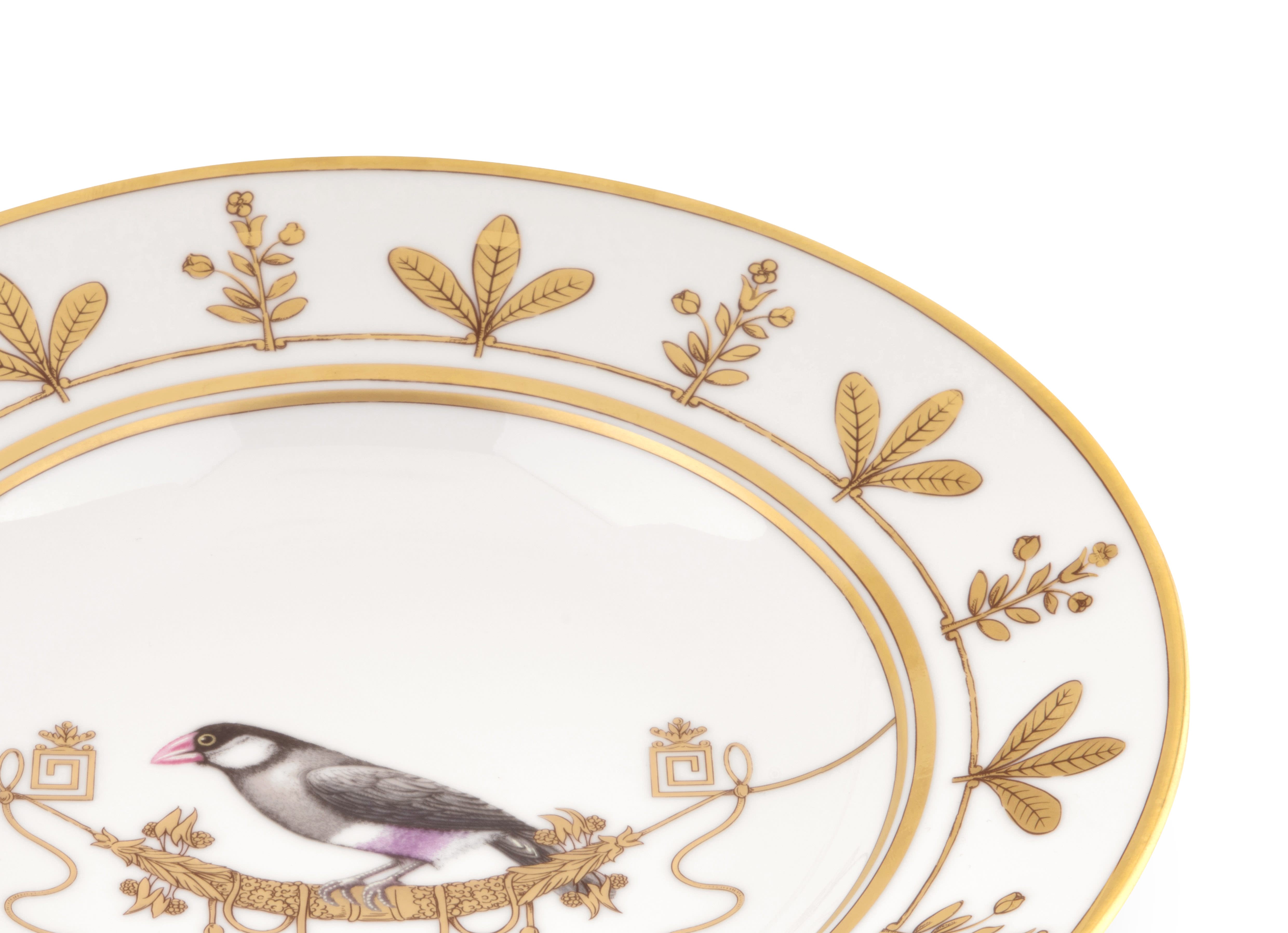 パスタプレート 25cm | GINORI 1735