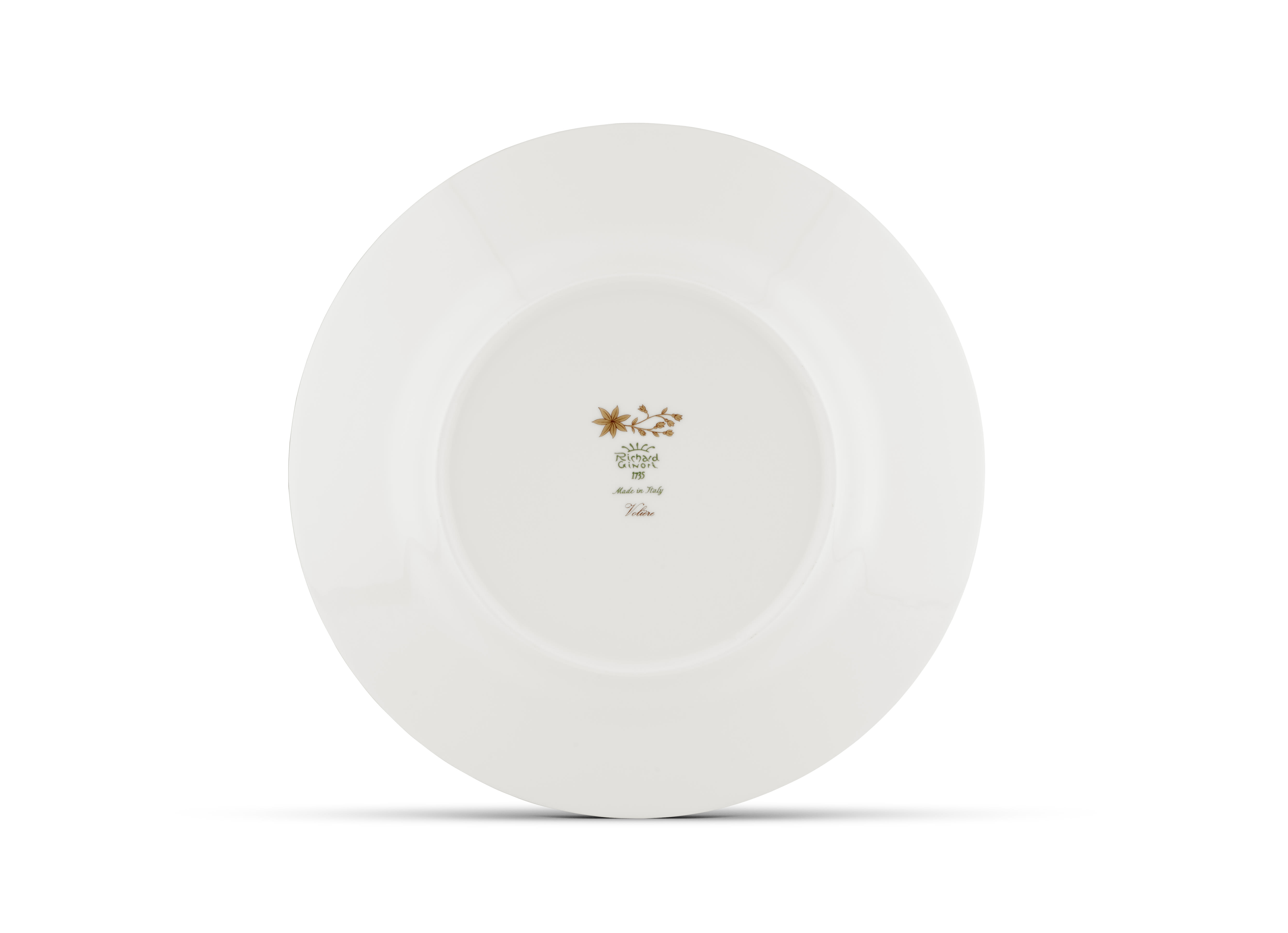 Richard Ginori Lilievo ディナープレート6枚 Richard Ginori Voliere