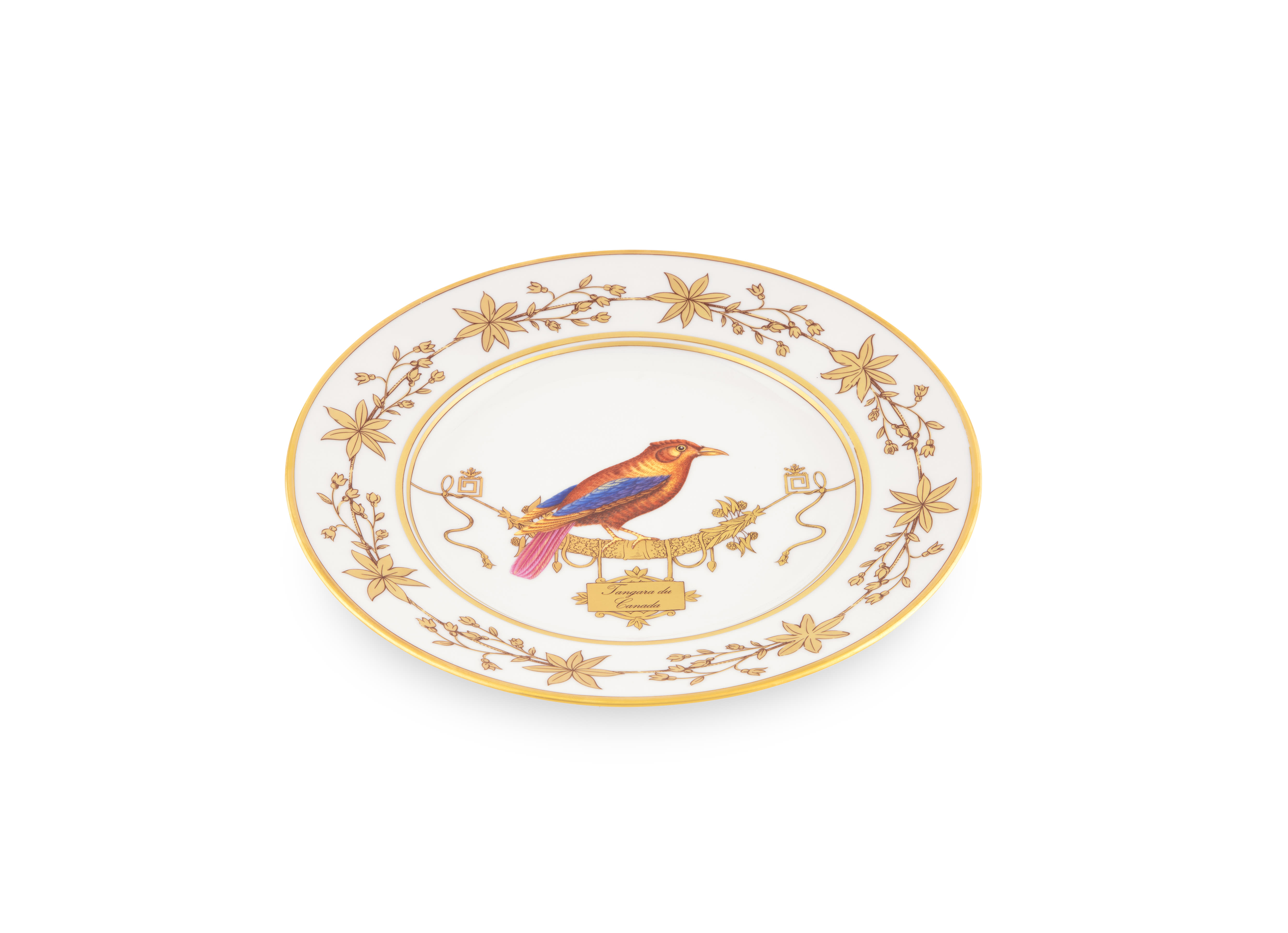 Tangara du Canada flat plate | Volière | GINORI 1735