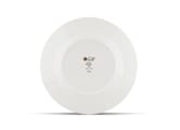 FLAT PLATE PERROQUET NESTORVoliere-5