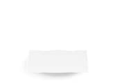 PLATEAU RECTANGULAIRE BLANC Vecchio Ginori-2