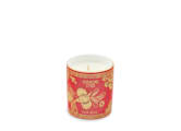 Cuoio Rosso Scented Candle | GINORI 1735
