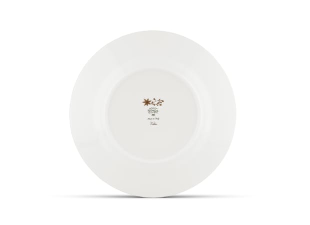 胸郭 Jean-Pierre Barral オステオパシー 胸郭 Jean-Pierre Barral オステオパシー