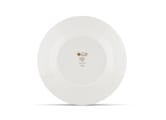 FLAT PLATE TANGARA DU CANADAVoliere-5
