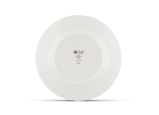 FLAT PLATE LA BRÈVEVoliere-5