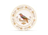 FLAT PLATE PERROQUET NESTORVoliere-1