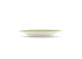 FLAT PLATE MUSCHIO Voliere-4