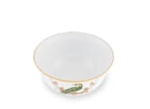 SOUP BOWL COUCOU DIDRIEVoliere-3