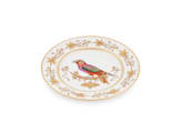 FLAT PLATE PERROQUET NESTORVoliere-2