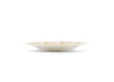 FLAT PLATE PERROQUET NESTORVoliere-4