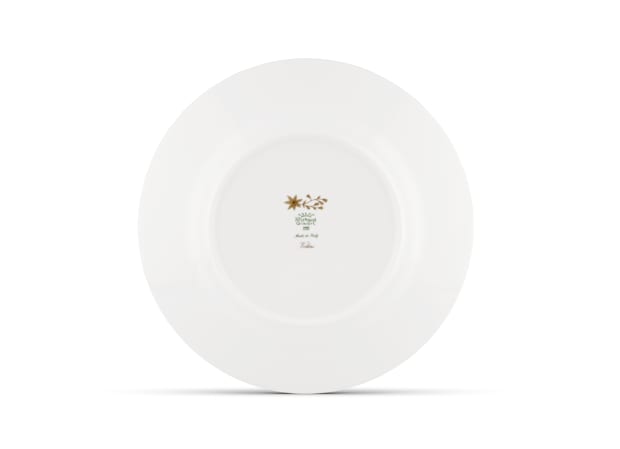 FLAT PLATE MUSCHIO Voliere-5