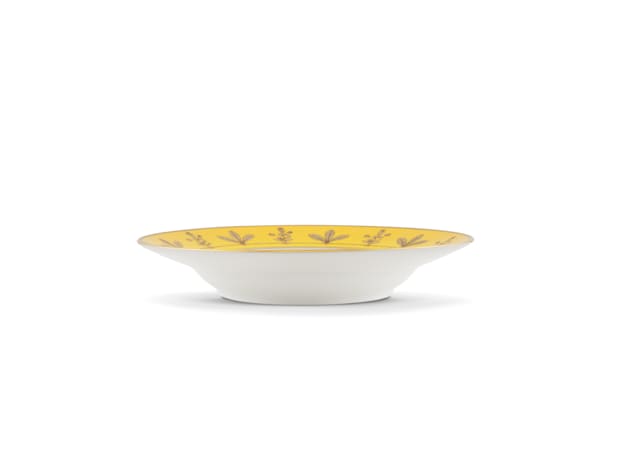 SOUP PLATE SENAPE Voliere-4