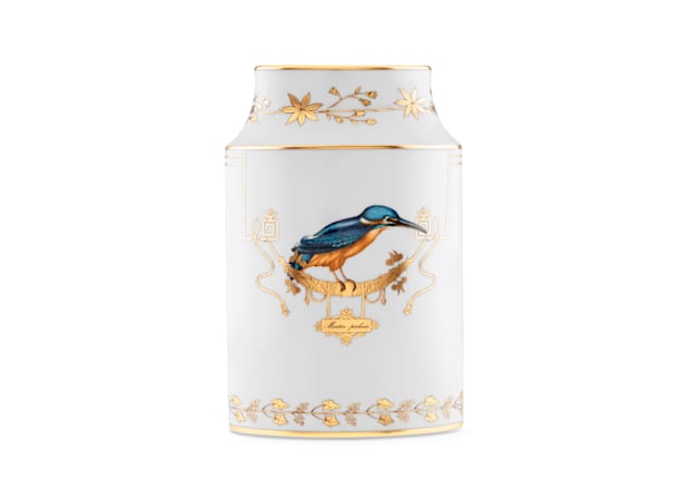 VASE MARTIN PECHEUR - PERROQUET NESTORVoliere-1