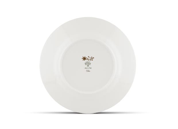 FLAT PLATE PERROQUET NESTORVoliere-5