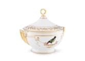 TUREEN ORTOLAN - LA BREVEVoliere-2