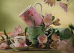 MUG ACANTO Florenza-7